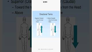 Directional terms anatomyandphysiology nursing shorts viralshorts [upl. by Elak]