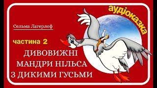 2Дивовижні мандриНільса з дикими гусьми Сельма Лагерлеф  Аудіоказкааудіокнига для дітей [upl. by Acinorahs337]