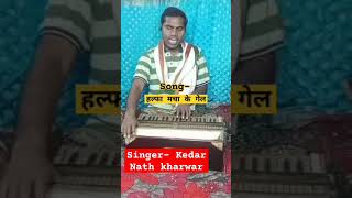 video हल्फा मचा के गईल l Kedar Nath kharwar l Halfa Macha ke gail kedar 2024shorts kedarKharwar [upl. by Manuel776]