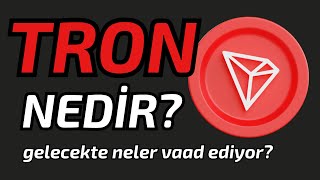 TRON TRX NEDİR Tron Coin Güncel Analiz Ethereumun Yerini Alabilecek Mi [upl. by Eisnil600]