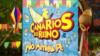 A famosa Playlist de toda quadrilha  Canários do Reino 42min19s [upl. by Redneval337]