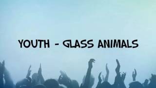 Youth  Glass Animals LYRICS Youth GlassAnimals Lyrics [upl. by Nnylhtak]