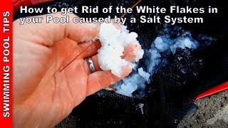 How to Get Rid of the White Flakes in your Pool Caused by Your Salt System SWG [upl. by Jennifer]