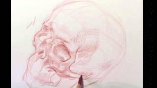 Vilppu Skull Drawing No 1 [upl. by Branen]