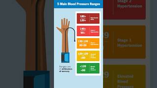 Whats a normal blood pressure range [upl. by Thirzia]