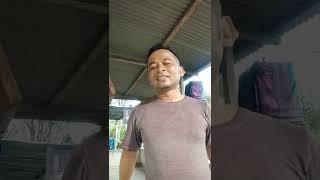 Tips terbaik perawatan bahan burung tledekan bakaudijamin ampuuuuuhhh 👍👍👍 [upl. by Reis]