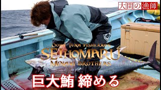 まぐろに背負い投げ 大間マグロ漁師 船上で大物まぐろを締める 捌く 内臓処理 生映像 JAPAN OMA MAGURO FISHING MOVIE [upl. by Akyre]