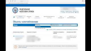 Как проверить задолженность по налогам на сайте nalogru [upl. by Elamor287]