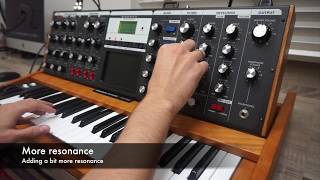 Minimoog Voyager  Tweaking No 1 [upl. by Natala]