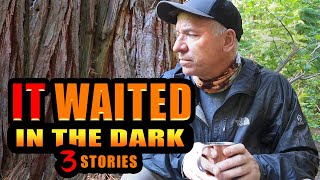 Frightening Encounter for PENNSYLVANIA Campers Near SWAMP  Plus More Stories [upl. by Reifinnej613]