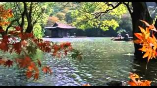 Spring summer fall winter  and spring Movie Trailer 2003 Drama [upl. by Cassey]