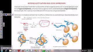 Chromatin remodeling [upl. by Lhamaj939]