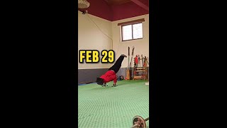 Intense day in China February 29 Yu Kung Fu in China martialartsjourney kungfu challenge [upl. by Angel]