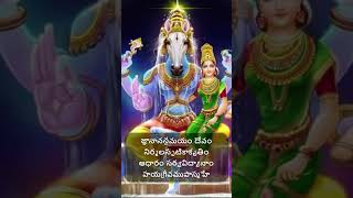 శ్రీ హయగ్రీవ స్తోత్రం Sri Hayagriva Stotram Hayagriva godofwisdom dailymantra dailyslokas [upl. by Eatnod]