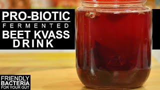 Beet Kvass Drink  Beetroot Kvass  Probiotic Drink  Beetroot Juice ChefHarpalSingh amp Danashree [upl. by Cullan]