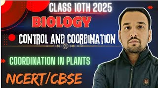 Control and Coordination  Coordination in plants  Class 10 Biology Chapter 6 [upl. by Rosalind92]