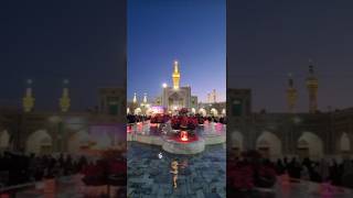 Imam Reza ki Ziyarat krne ke fzaelshortsغریب طوسخراسانHaram imam Reza [upl. by Darcey]