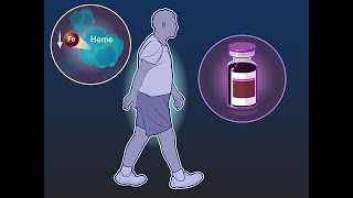 Ferric Carboxymaltose in HF with Iron Deficiency  NEJM [upl. by Weatherley407]