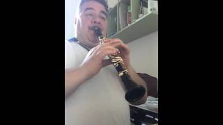 Pomarico Wizard for Eflat clarinet  Piero Vincenti [upl. by Alexa]