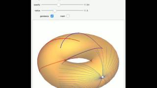 Geodesics and Conjugate Loci on a Torus [upl. by Alin]