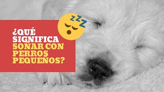 🌖 ¿Qué significa SOÑAR con PERROS PEQUEÑOS [upl. by Nagol886]