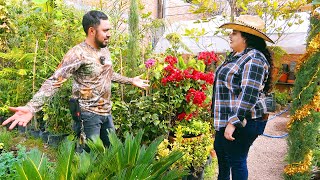 PLANTA QUE CURA EL CÁNCER y Cualquiera LA TIENE EN SU CASA [upl. by Palila]