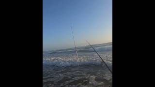 Sandy Beach Surf Fishing [upl. by Dazraf]