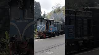 hi nice to see you again toytrain dhr darjeeling wistelkhola kurseong [upl. by Ardnasil]