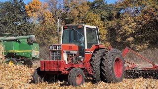 INTERNATIONAL HARVESTER 1486 Discing Corn Stalks [upl. by Anerroc]