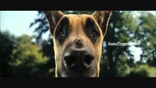 Marmaduke Trailer [upl. by Haliak]