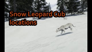 SoulMask  Snow Leopard cubbaby locations [upl. by Sacram]