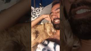 Kermit’s a lil trickster 🤭 catlover catdad catshorts catvideos cutecat catdaddy cat gatos [upl. by Gussy]