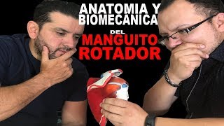 MANGUITO ROTADOR  ANÁLISIS BIOMECÁNICO Y ANATÓMICO [upl. by Angela]