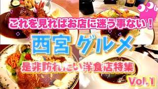 【ミテイク厳選❗️西宮洋食店特集vol1】人気店から老舗名店まで❗️間違いない味 話題のお店を紹介 ミテイク Western restaurant Nishinomiya [upl. by Astor275]