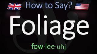 How to Pronounce Foliage CORRECTLY Meaning amp Pronunciation [upl. by Nalahs]