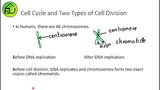 Introduction to cell cycle and cell division [upl. by Tihor379]