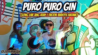 Puro Puro Gin Long Live Ang Atay  TikTok Budots Hataw  Dj Sandy Remix [upl. by Danieu]