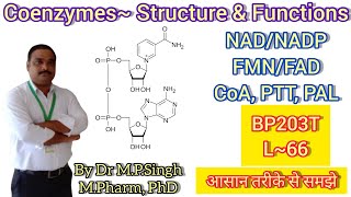 Coenzymes  Structure amp Biological Function  NAD FAD CoA TPP PAL  Biochemistry  BP203T  L66 [upl. by Hild]