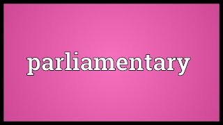 Parliamentary Meaning [upl. by Nalon607]