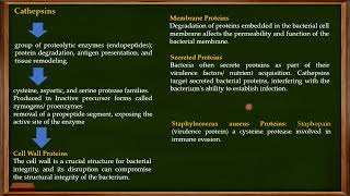 L29 Function of Cathepsins Granules in Neutrophils [upl. by Wilmar]