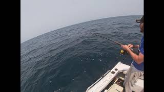 Shellharbour NSW Australia Fishing great day on the water nannygai Blue Morwong Flathead [upl. by Placeeda]