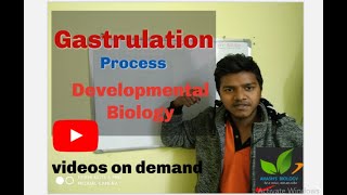 Gastrulation Process Developmental Biology part3 [upl. by Eerized430]