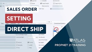 Prophet 21 Training and How To  Using the Direct Ship Function [upl. by Annaed333]