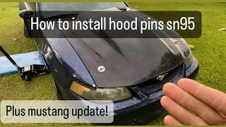 install hood pins on any 9404 mustang amp what has happened to the mustang update [upl. by Areis529]