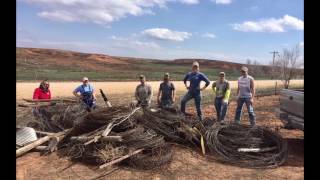 Devastation and healing from 2017 grassland wildfires [upl. by Innek707]