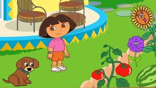 Dora The Explorer  La Casa De Dora [upl. by Olivero887]