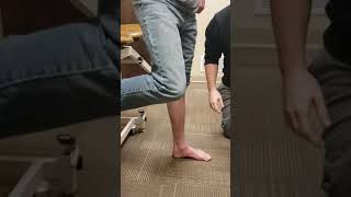 Navicular drop test [upl. by Etteluap]