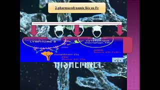 Pharmacodynamique et pharmacocinétique des anticorps monoclonaux [upl. by Armington738]