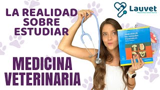 LO QUE DEBES SABER SI QUIERES ESTUDIAR VETERINARIA  Lauvet [upl. by Rosamond]