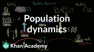 Population dynamics  Society and Culture  MCAT  Khan Academy [upl. by Kermie830]